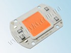 Светодиод для растений (Фитосветодиод) LED 30W 220V